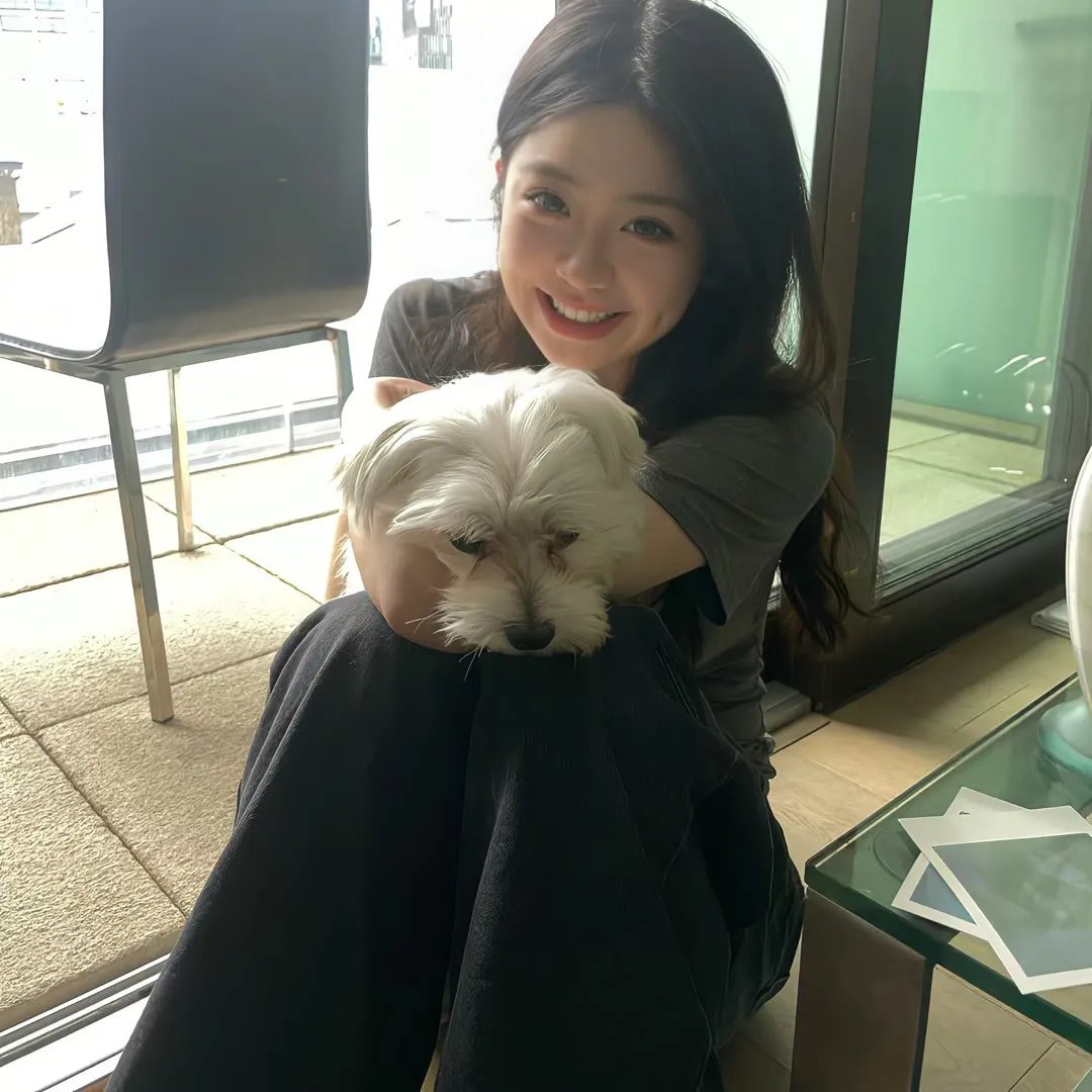 晴晚之林